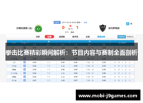 拳击比赛精彩瞬间解析：节目内容与赛制全面剖析